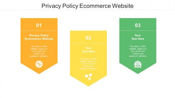Privacy Policy Ecommerce Website Ppt Powerpoint Presentation Summary Picture Cpb
