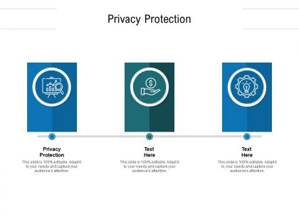 Privacy protection ppt powerpoint presentation infographic template ideas cpb