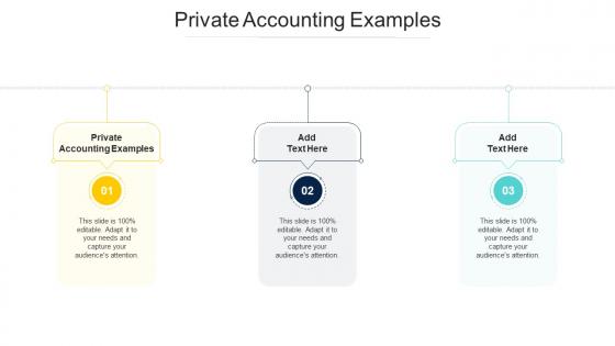 Private Accounting Examples In Powerpoint And Google Slides Cpb