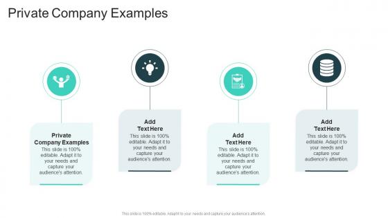 Private Company Examples In Powerpoint And Google Slides Cpb