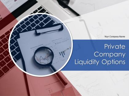 Private Company Liquidity Options Powerpoint Presentation Slides