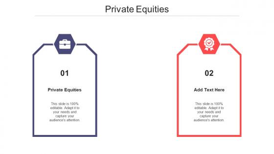 Private Equities Ppt Powerpoint Presentation Gallery Deck Cpb