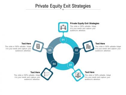 Private equity exit strategies ppt powerpoint presentation gallery microsoft cpb
