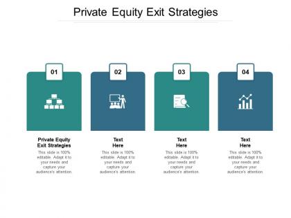 Private equity exit strategies ppt powerpoint presentation infographic template outline cpb