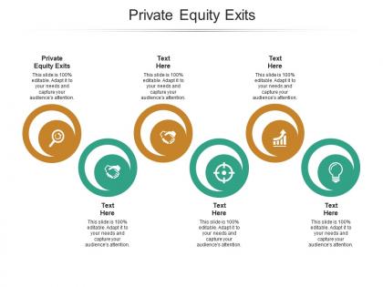 Private equity exits ppt powerpoint presentation infographics slides cpb
