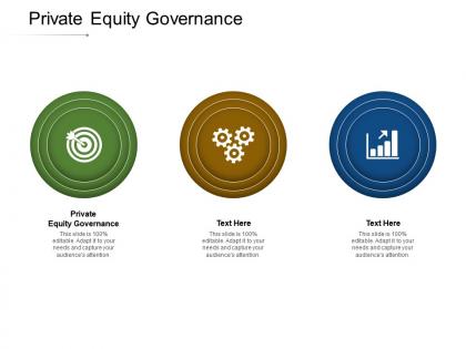 Private equity governance ppt powerpoint presentation slides cpb