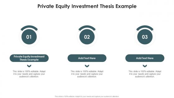 Private Equity Investment Thesis Example In Powerpoint And Google Slides Cpb