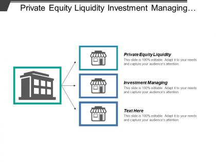 Private equity liquidity investment managing decision risk analysis cpb