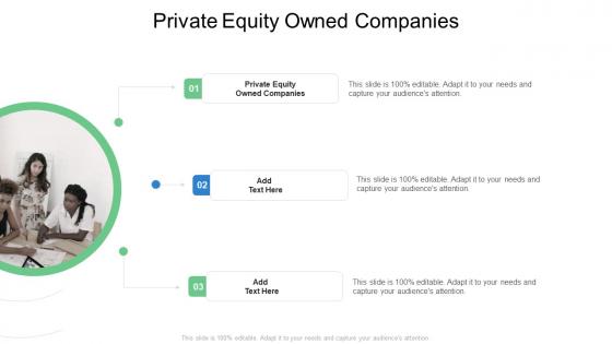 Private Equity Owned Companies In Powerpoint And Google Slides Cpb