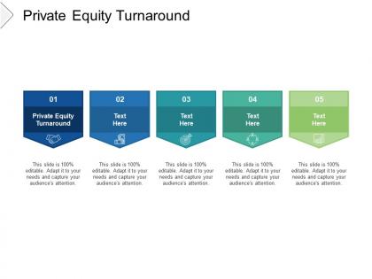 Private equity turnaround ppt powerpoint presentation file infographics cpb