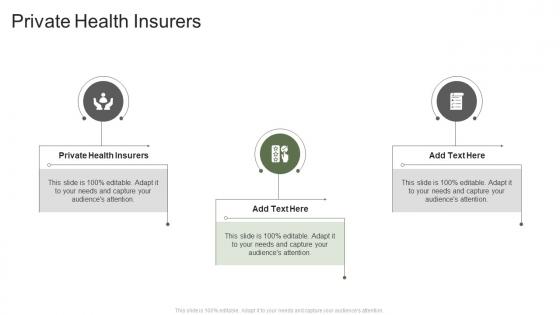 Private Health Insurers In Powerpoint And Google Slides Cpb