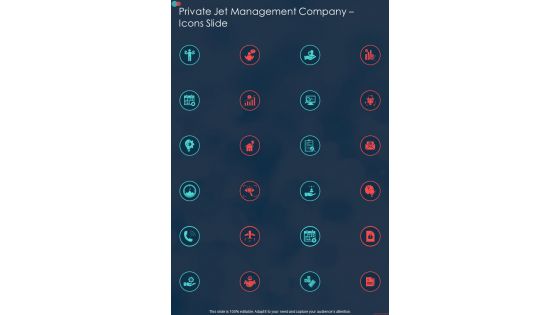 Private Jet Management Company Icons Slide One Pager Sample Example Document