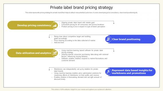 Private Label Brand Pricing Strategy Private Labelling Techniques