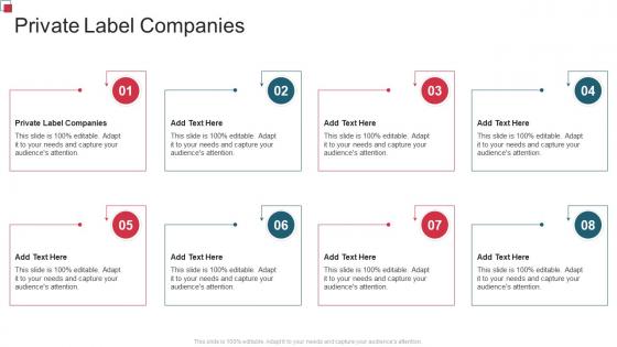 Private Label Companies In Powerpoint And Google Slides Cpb
