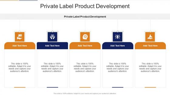 Private Label Product Development In Powerpoint And Google Slides Cpb