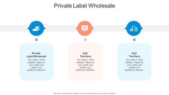 Private Label Wholesale In Powerpoint And Google Slides Cpb