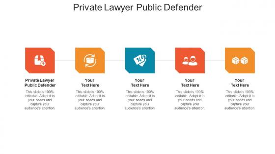 Private lawyer public defender ppt powerpoint presentation professional model cpb