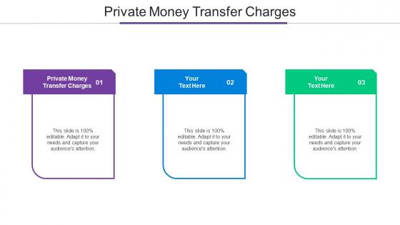 Private Money Transfer Charges Ppt Powerpoint Presentation Portfolio Example Topics Cpb
