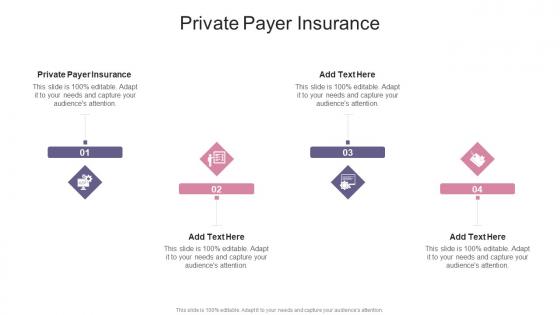 Private Payer Insurance In Powerpoint And Google Slides Cpb