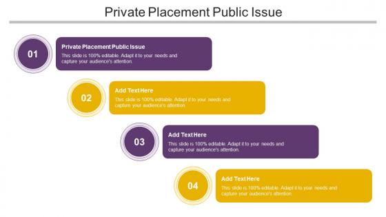 Private Placement Public Issue Ppt Powerpoint Presentation File Layouts Cpb