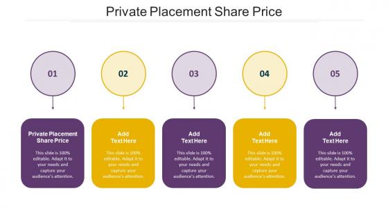 Private Placement Share Price In Powerpoint And Google Slides Cpb