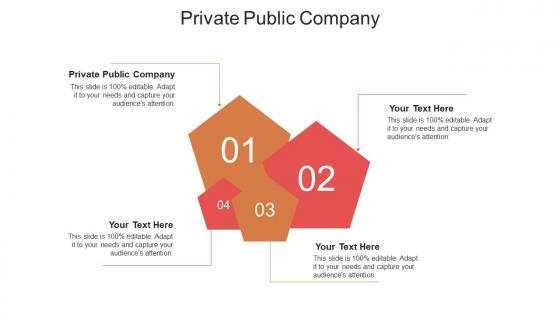 Private public company ppt powerpoint presentation icon inspiration cpb