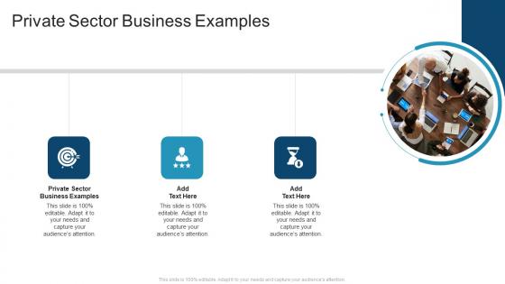 Private Sector Business Examples In Powerpoint And Google Slides Cpb