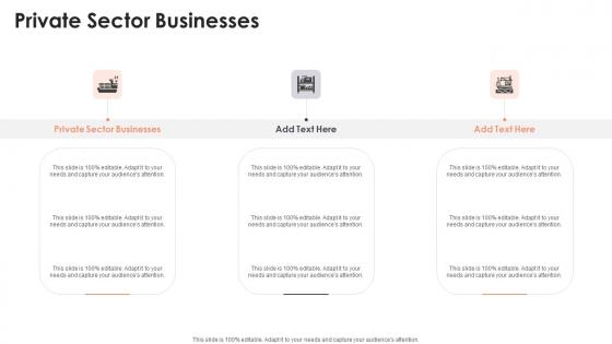 Private Sector Businesses In Powerpoint And Google Slides Cpb
