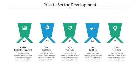 Private sector development ppt powerpoint presentation summary visuals cpb