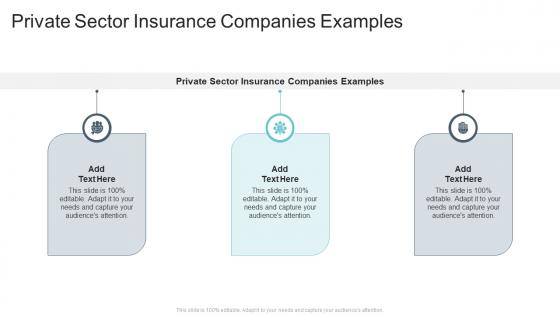 Private Sector Insurance Companies Examples In Powerpoint And Google Slides Cpb