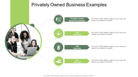 Privately Owned Business Examples In Powerpoint And Google Slides Cpb
