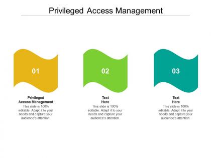 Privileged access management ppt powerpoint presentation infographic template designs download cpb