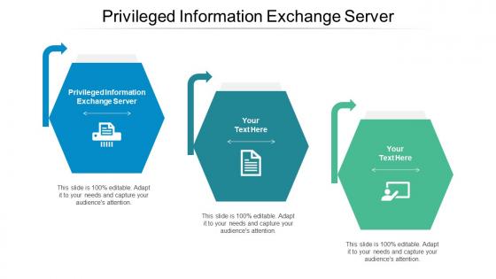 Privileged Information Exchange Server Ppt Powerpoint Presentation Portfolio Graphic Tips Cpb