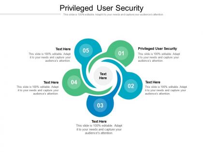 Privileged user security ppt powerpoint presentation icon display cpb