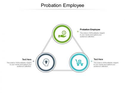 Probation employee ppt powerpoint presentation summary maker cpb