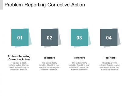Problem reporting corrective action ppt powerpoint presentation infographic template cpb