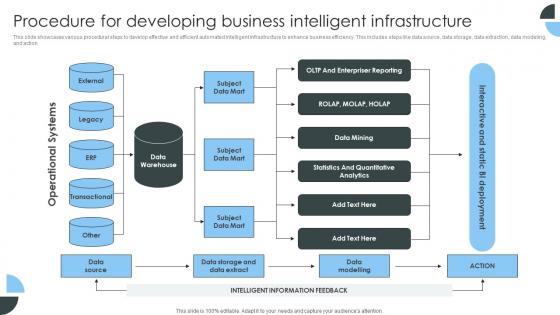 Procedure For Developing Business Intelligent Infrastructure