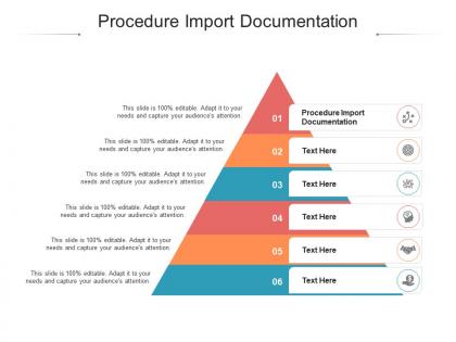 Procedure import documentation ppt powerpoint presentation gallery example cpb