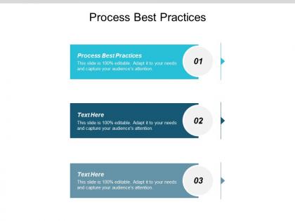 Process best practices ppt powerpoint presentation summary grid cpb