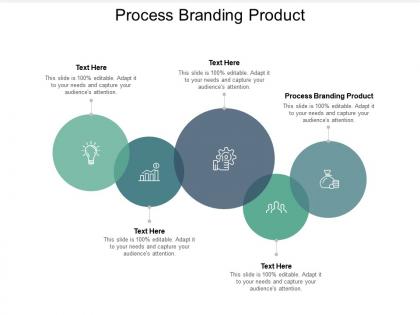 Process branding product ppt powerpoint presentation show good cpb