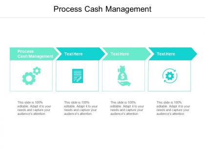 Process cash management ppt powerpoint presentation model show cpb