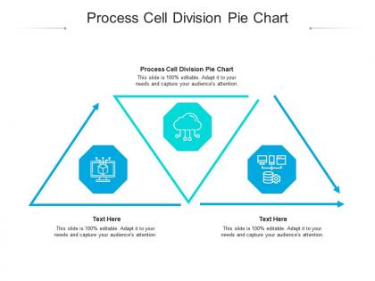 Process cell division pie chart ppt powerpoint presentation infographics templates cpb