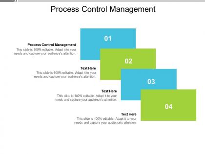Process control management ppt powerpoint presentation outline slides cpb