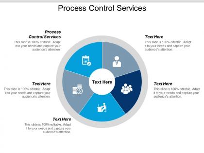 Process control services ppt powerpoint presentation model visuals cpb
