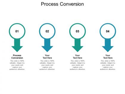 Process conversion ppt powerpoint presentation infographic template structure cpb