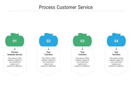 Process customer service ppt powerpoint presentation samples cpb