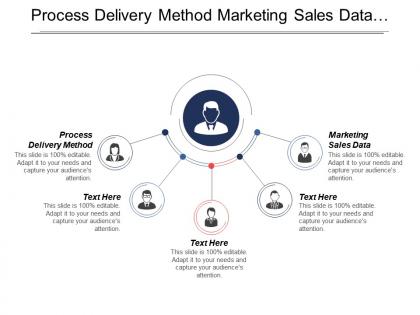 Process delivery method marketing sales data demographics data