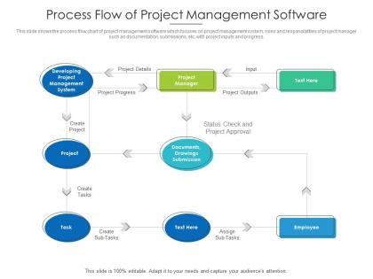 Process flow of project management software
