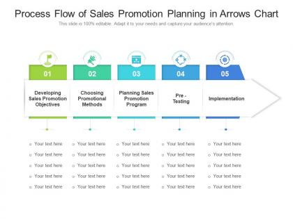 Cross Functional Flow Chart - Slide Team