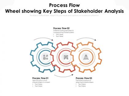 Process flow wheel showing key steps of stakeholder analysis